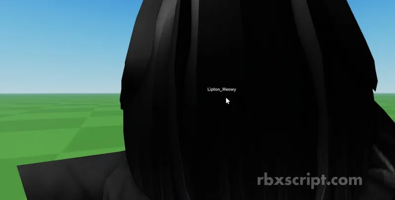 Universal Become invisible in the eyes of others - Universal script preview