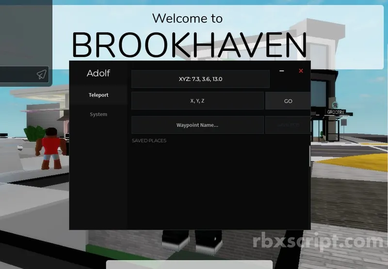 Roblox: Live Coordinates w - Roblox script preview